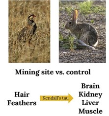 Hair and feathers as monitoring tools of mine pollution