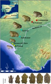 Dwarfism in continental populations of natterjack toads in the absence of genetic isolation