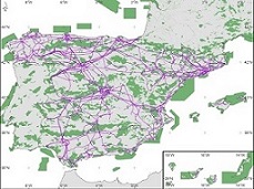 Conectar la biodiversidad usando las líneas eléctricas de transporte