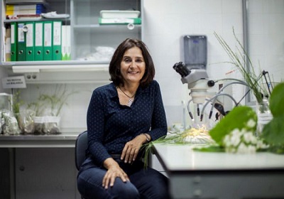 Montserrat Vilà, among the most highly cited researchers in the world