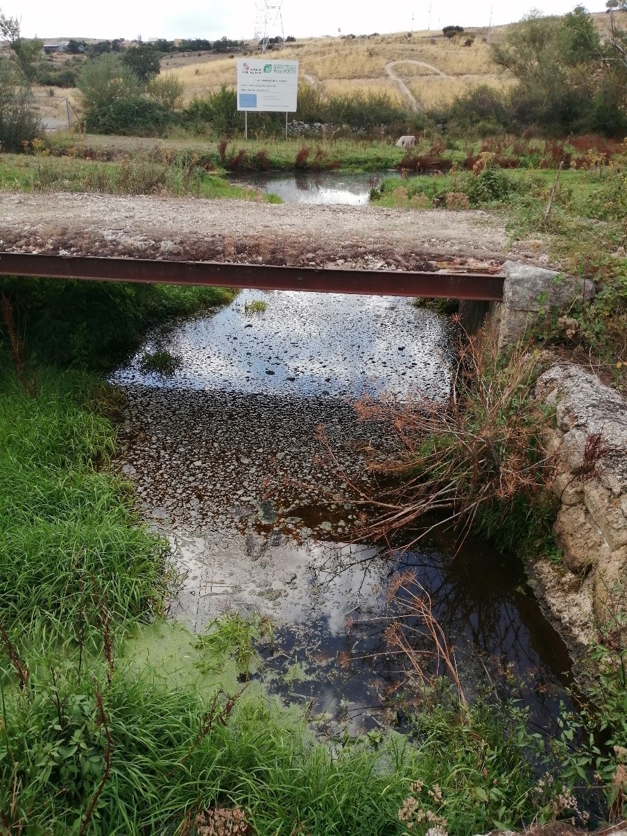 Ejemplo de río contaminado. Arroyo de la Tejera (El Espinar, Segovia)