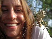 Ciencia ciudadana para el estudio de cinco arañas comunes