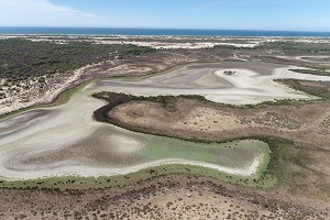 Drought and overexploitation of aquifers dry up the last permanent lagoon in Spain’s Doñana National Park