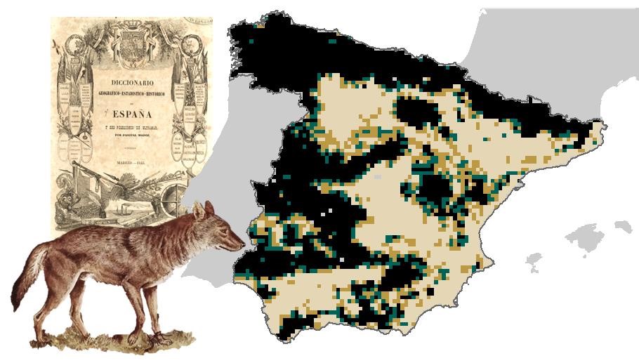 Área estimada de distribución del lobo en la Península Ibérica a mediados del siglo XIX.