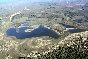 World Wetlands Day: Doñana closed 2022 with a records in high temperatures, low rainfall and the lowest numbers of wintering waterbirds