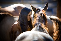 Un estudio en el que participa la Estación Biológica de Doñana reescribe la historia del caballo en Norteamérica