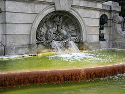 Fountains and sewers affect the presence of mosquitoes in urban areas