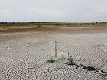 Santa Olalla, the largest lagoon in Doñana, dries up for the second year in a row