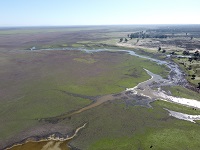 Last weeks’ rains flood only 1.8 % of the Doñana marshes