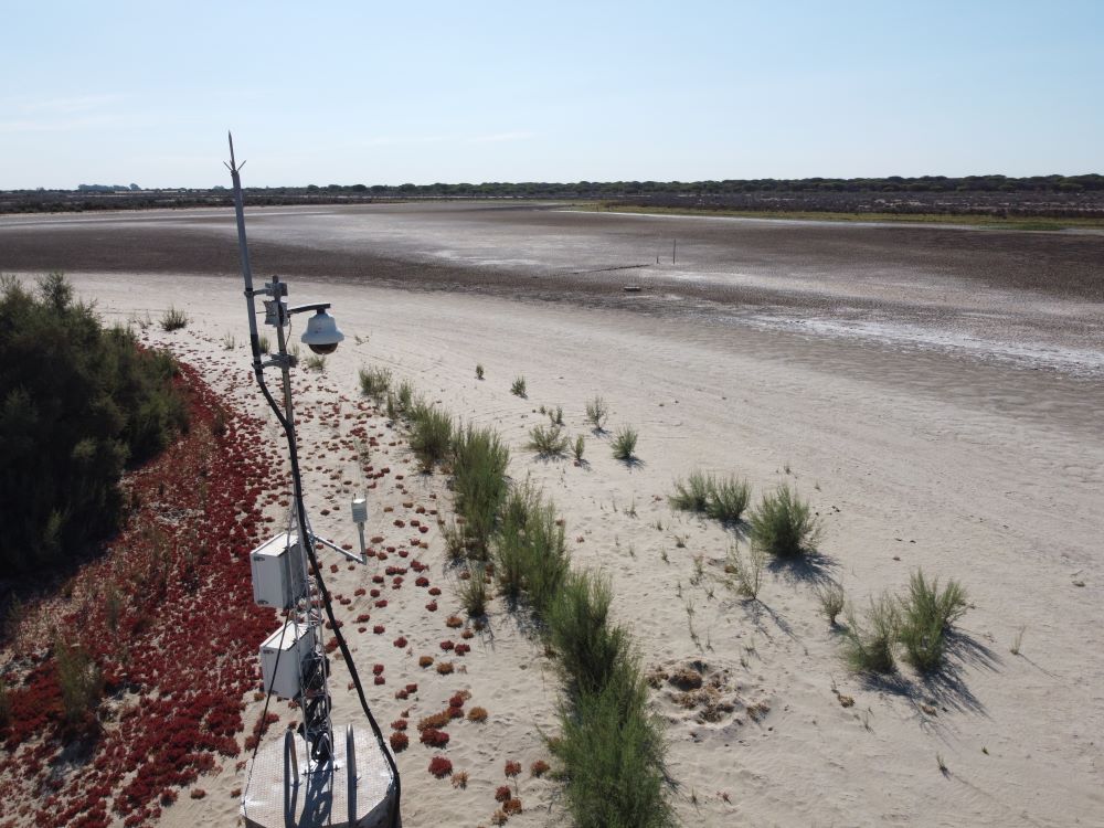 La laguna de Santa Olalla, la última laguna permanente de Doñana, completamente seca en agosto del año pasado. En primer plano, una de las infraestructuras automáticas de la ICTS-Doñana para monitorización ambiental // EBD – CSIC