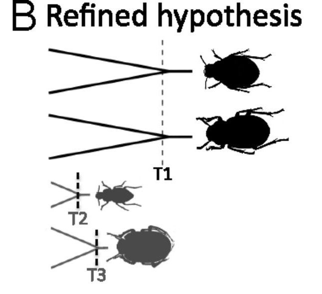 Toward a trait-based comparative phylogeography
