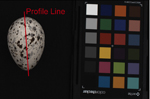 SpotEgg: a tool to analyse colour in digital images