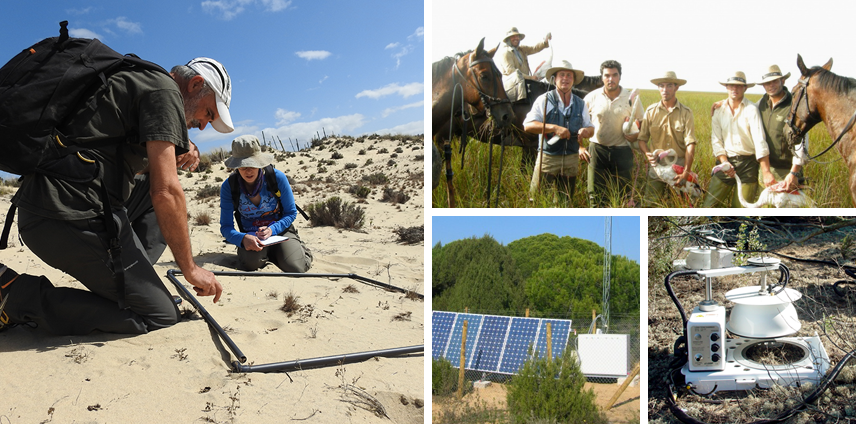 Actividad científica en Doñana