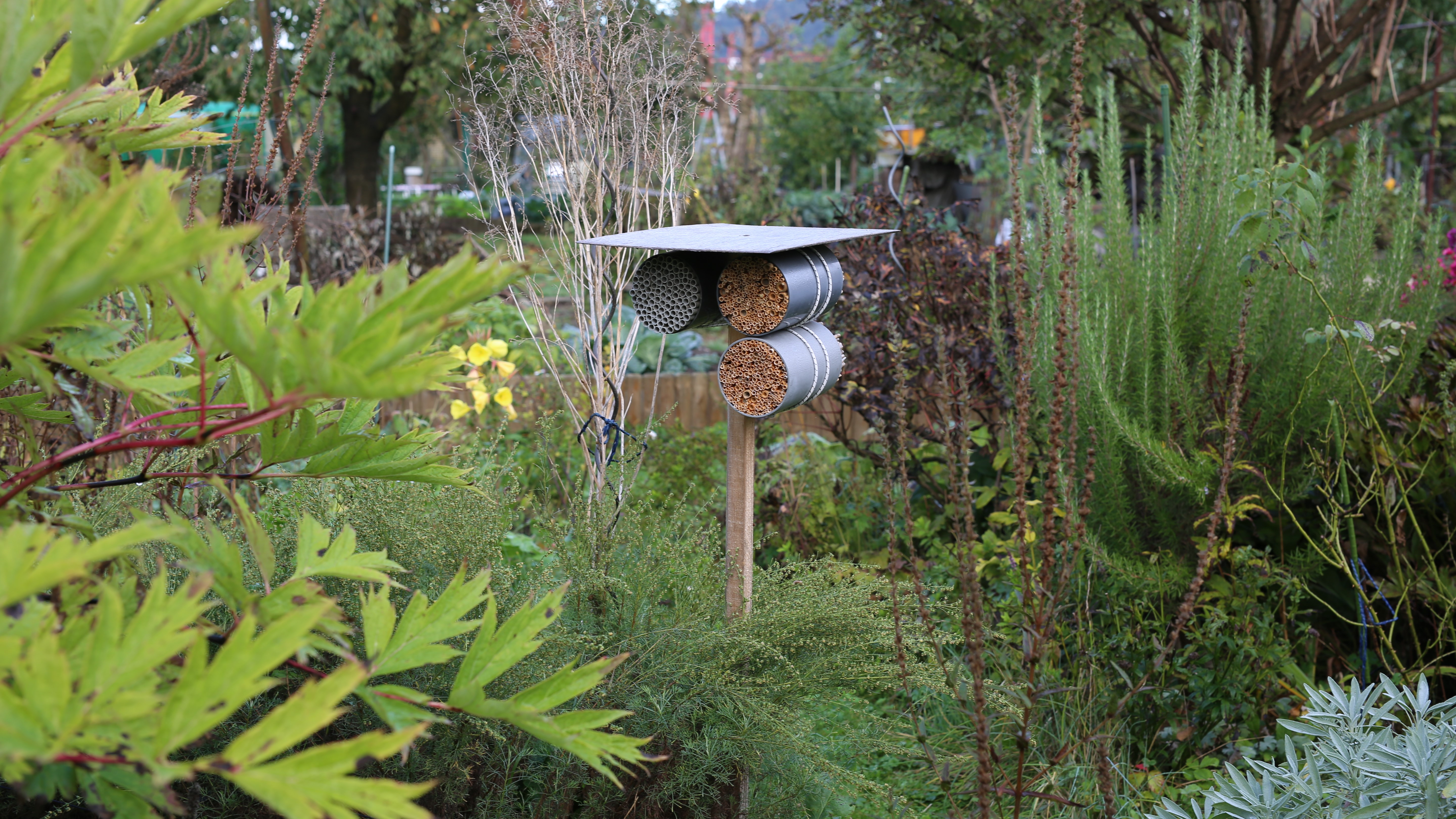 Nidos artificiales utilizados para muestrear las interacciones entre las comunidades de abejas, avispas y sus enemigos naturales en un jardín urbano de Zurich. Foto: David Frey