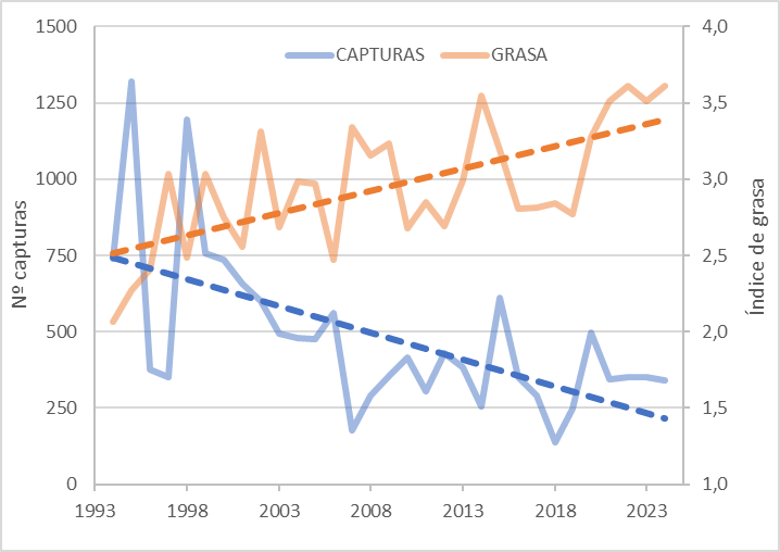 Gráfica que muestra en aumento del índice de grasa de las aves capturadas.