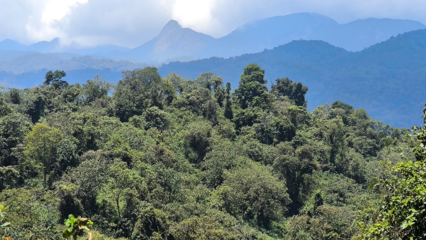 Expedición Congo 3