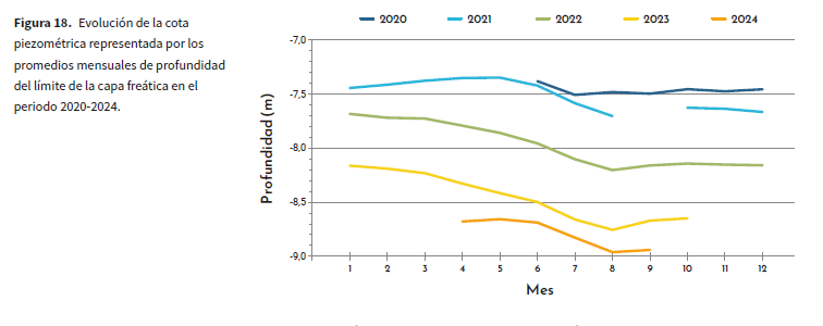 Gráfico piezómetro
