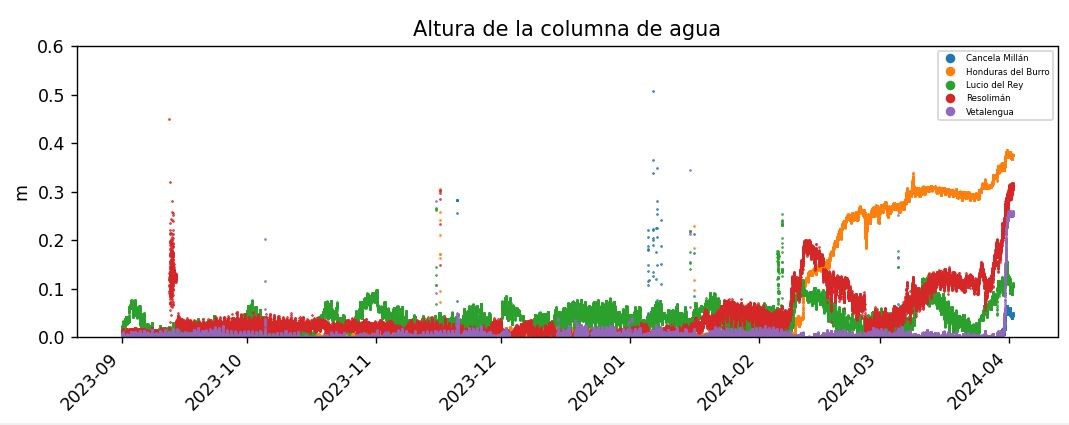 gráfico2