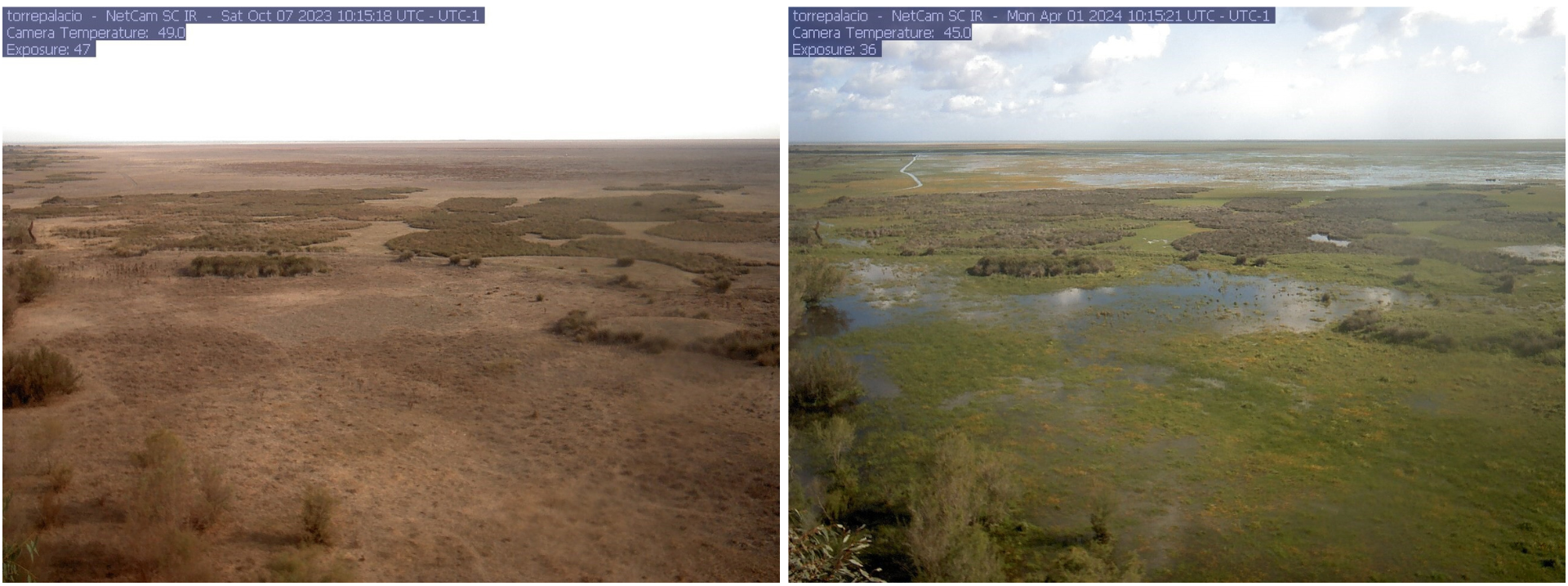 doñana