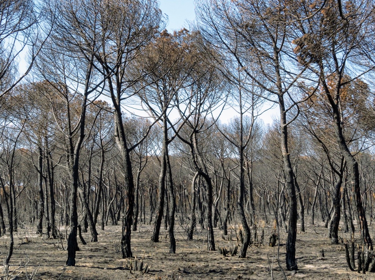 incendio