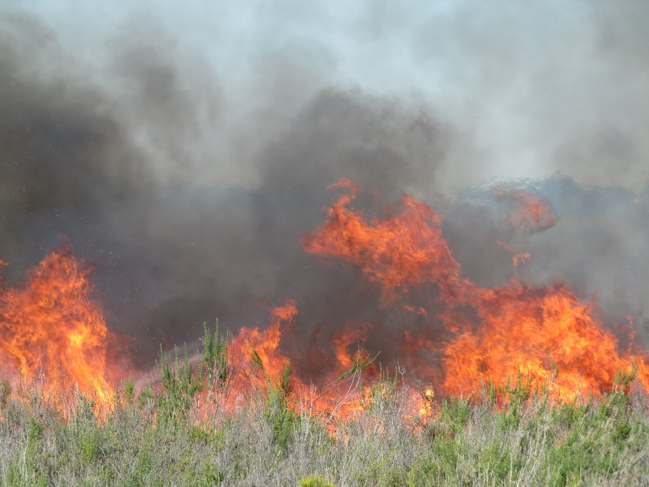 incendio2