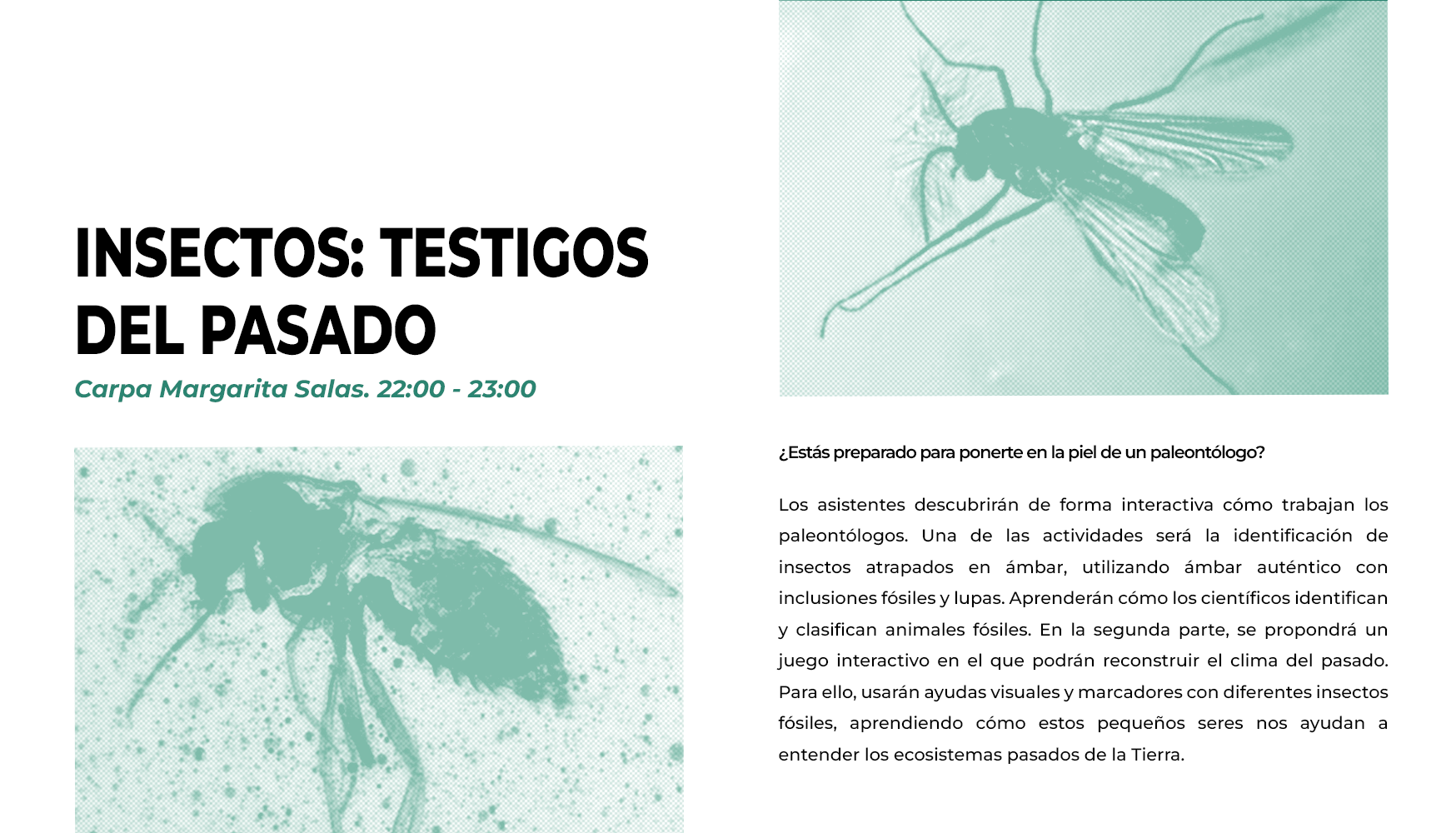 CartelNocheEuropeaInvestigador@s