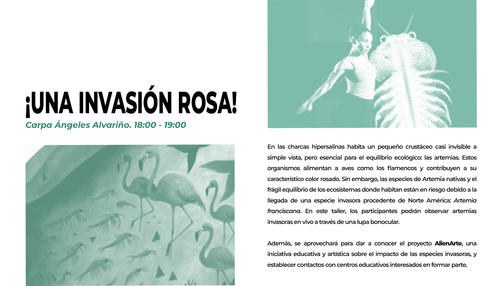 CartelNocheEuropeaInvestigador@s
