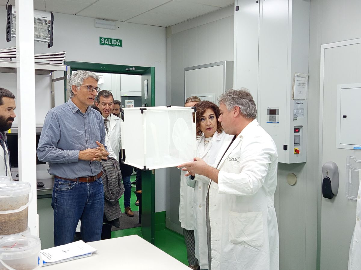 En las Cámaras Climáticas