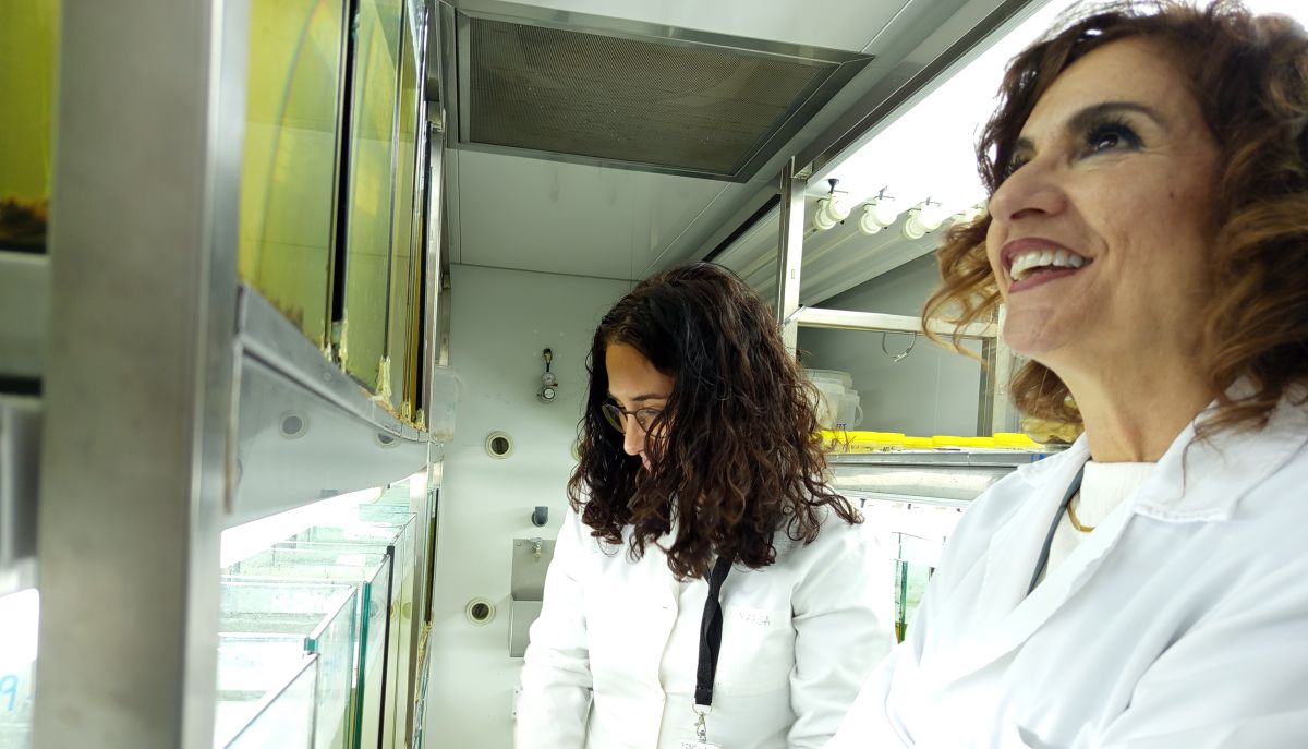 En las Cámaras Climáticas