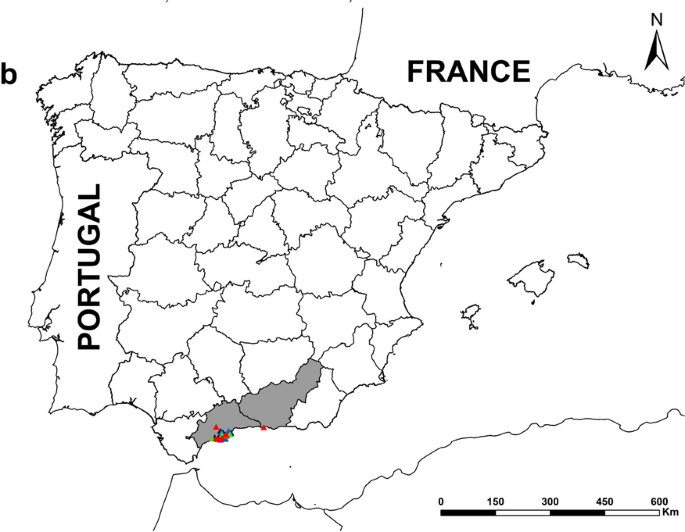 Evolución de la presencia detectada de Vespa bicolor