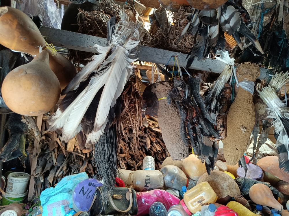 Piezas de animales silvestres (aves y primates) a la venta. Crédito: Pedro Romero Vid