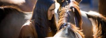 Caballos América