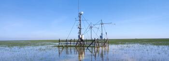 Uno de los sensores de la ICTS – Doñana en el Parque Nacional. // Estación Biológica de Doñana