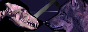 perro