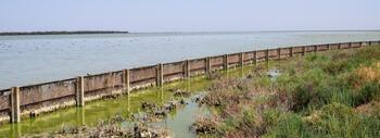 Vista de las marismas de Doñana el 2 de julio