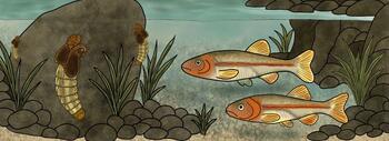 Ilustración de la nueva especie descrita, Telmatomyia talbragarica en su paleoambiente. Créditos: Valentyna Inshyna