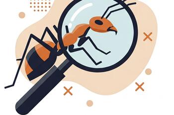 Ant Hunters
