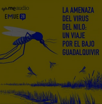 20240924_RNE_Esto_merece_una_explicación