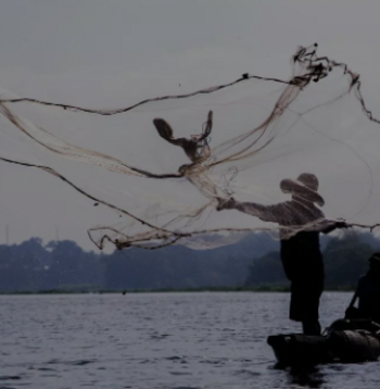 Los ecosistemas de agua dulce están amenazados por las especies exóticas, las presas y la contaminación, entre otros motivos