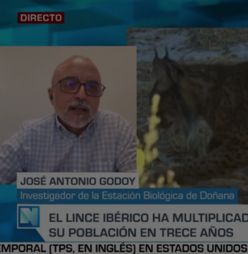 José Antonio Godoy en la televisión de Castilla La Mancha