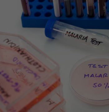 Instrumental investigación malaria